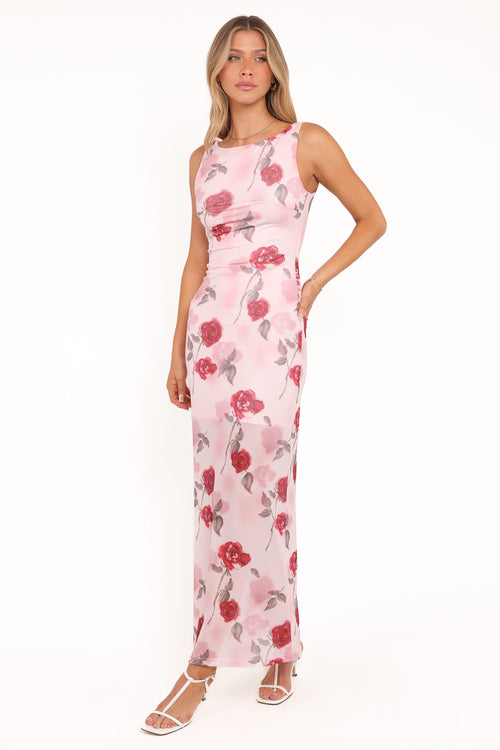 Brissa Maxi Dress - Pink Floral